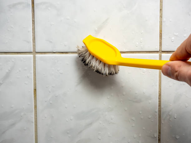 Best Black Mold Removal  in Cooper City, FL