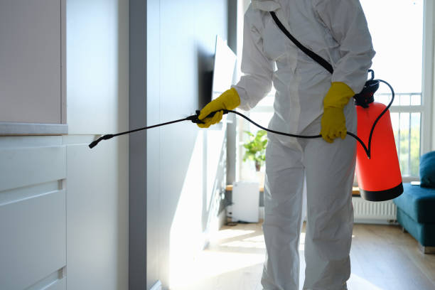 Mold Removal and Inspection in Cooper City, FL